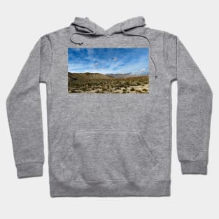 Anza Borrego Desert State Park Hoodie